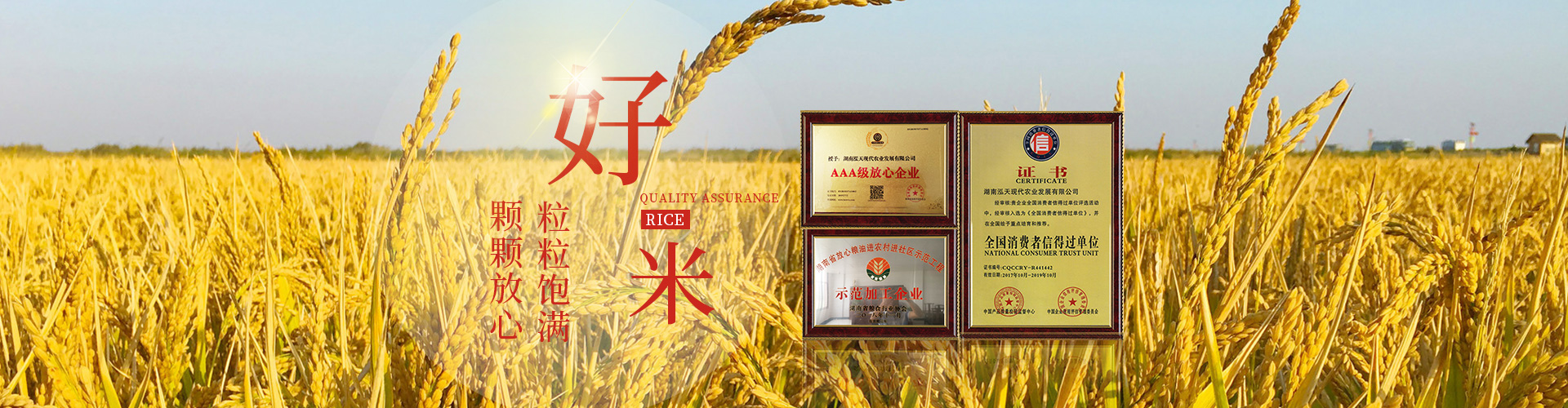 湖南泓天現(xiàn)代農業(yè)發(fā)展有限公司